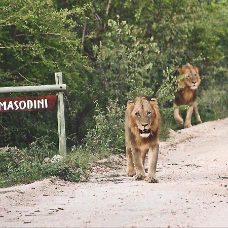 Masodini Game Lodge Hoedspruit Exteriör bild