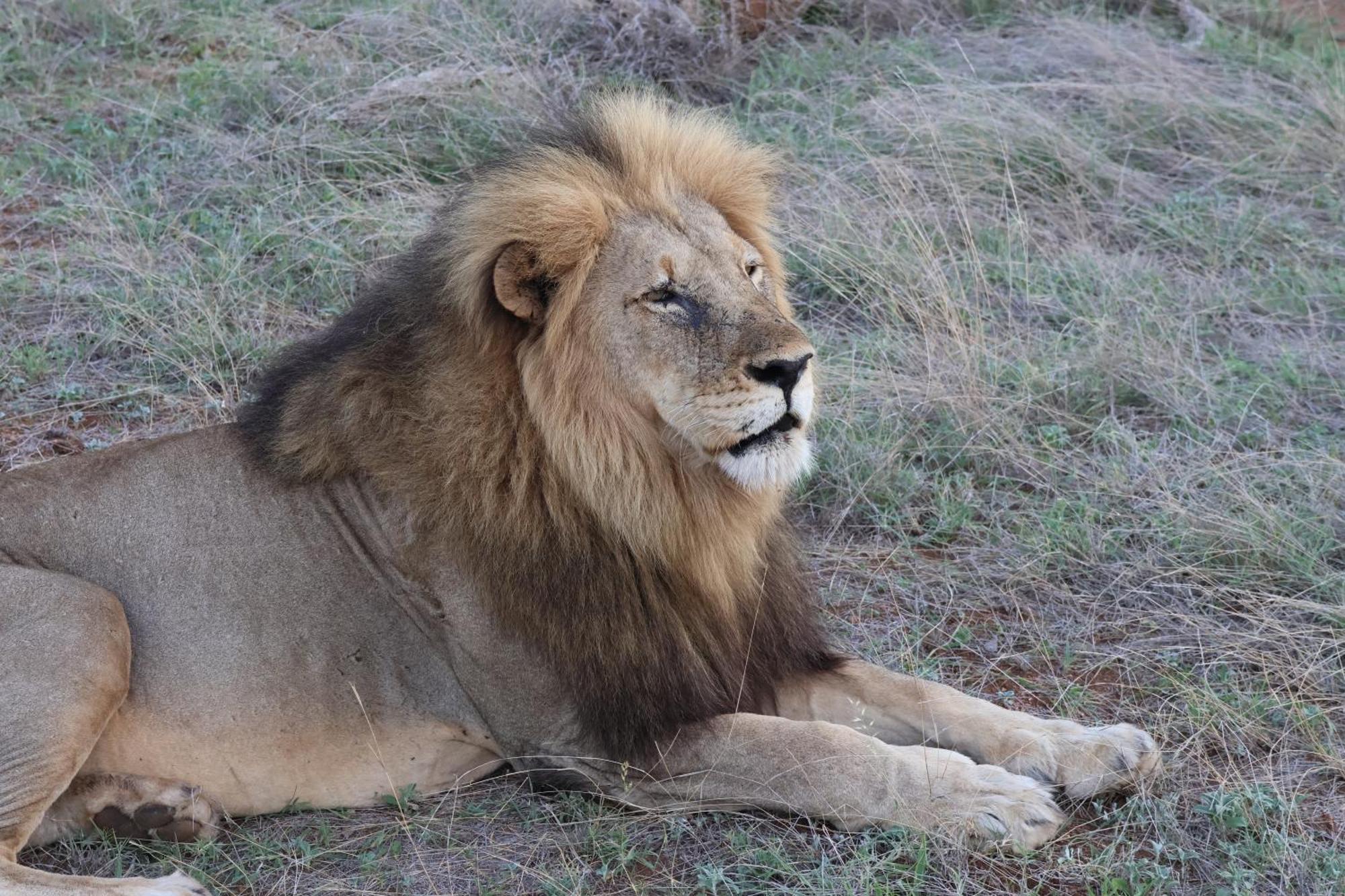 Masodini Game Lodge Hoedspruit Exteriör bild